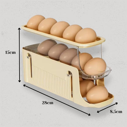 Taille Rangement oeufs Frais